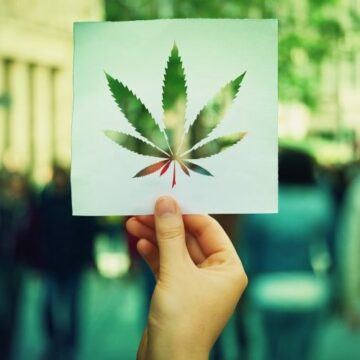 MEXICO: CANNABIS LEGAL
