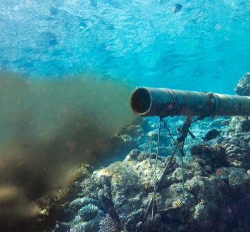 ‘FOREVER CHEMICALS,’ FOREVER DEADLY