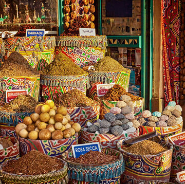 EGYPT’S CURRENCY FALLS AFTER IMF BAILOUT