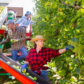 WHEN THE ECONOMY FALLS JOBS GO WITH IT