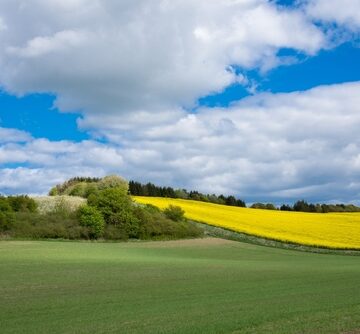 DENMARK CLOSES THE LOOP ON CARBON