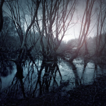 INDOCTRINATION, INTIMIDATION & INTOLERANCE: WHAT PASSES FOR EDUCATION TODAY