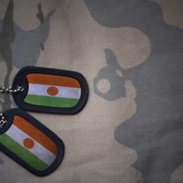 Flag Of Niger On Blank Dog With Camo In Background