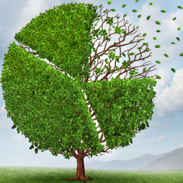 An Illustration Of A Tree Looking Like A Pie Chart With A Section Blowing Away