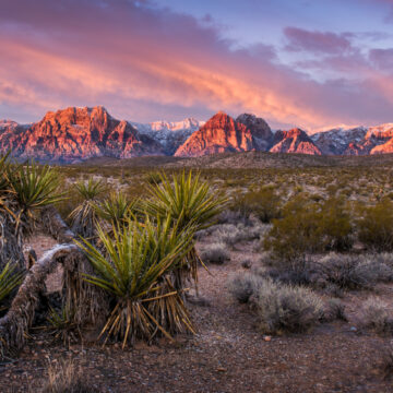 WORLD’S LARGEST LITHIUM DEPOSIT DISCOVERED IN NEVADA. BIG DEAL?
