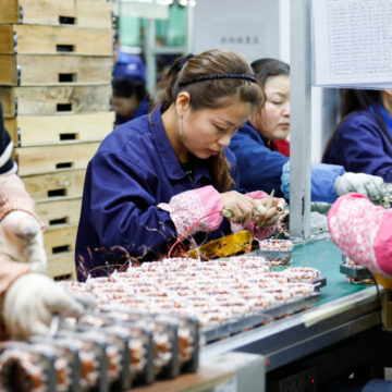 SPOTLIGHT: CHINA’S ECONOMIC STRUGGLE