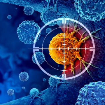 SYNTHETIC BACTERIA DETECT CANCER IN YOUR BODY