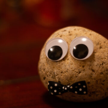 PET ROCKS IN HIS HEAD: JAMIE DIMON’S “LAST WORD” ON BITCOIN