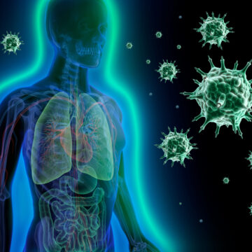 MAJOR NEW PROJECT WILL DISSECT THE HUMAN IMMUNE SYSTEM