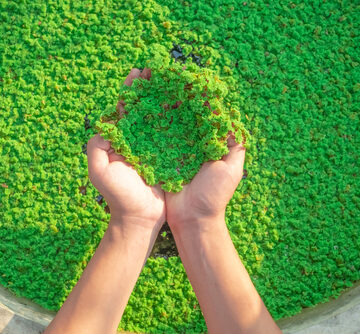 PUT SOME AZOLLA IN THAT SALAD