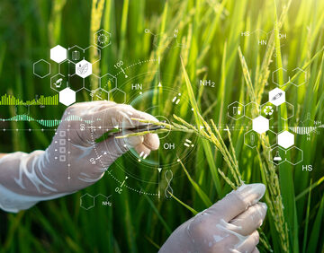 PLANT-BASED PLASTIC THAT DOESN’T TURN INTO MICROPLASTIC