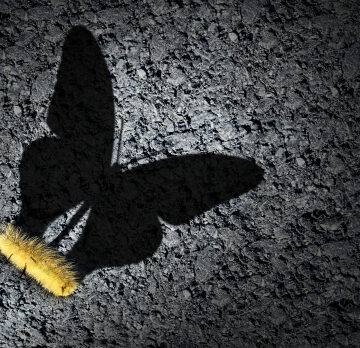 Concept Image Of Caterpillar Casting The Shadow Of A Butterfly