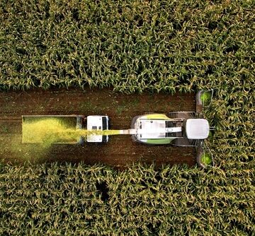 ABUNDANT ELEMENT COULD HELP MAKE CO2 A VALUABLE FEEDSTOCK