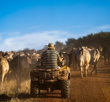AUSTRALIA POISED FOR RECESSION