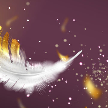FEATHER-LIGHT CARBON FABRIC STORES ENERGY AND BECOMES A BATTERY