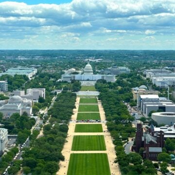 THERE IS SOMETHING ROTTEN IN WASHINGTON