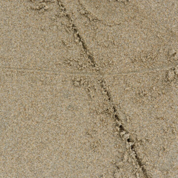 A Line Drawn In The Sand