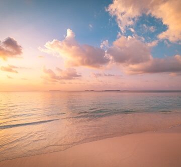 TEST WOULD ASSESS OCEANS’ ABILITY TO ABSORB MORE CARBON