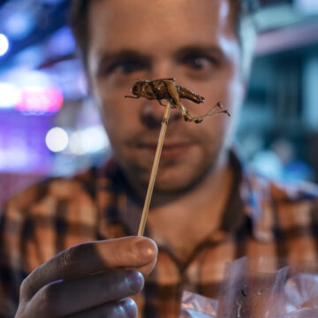 DEHUMAN: RIP UP THE CONSTITUTION, EAT BUGS AND ULTRA PROCESSED FOODS, AND FUND YOUR REPLACEMENTS