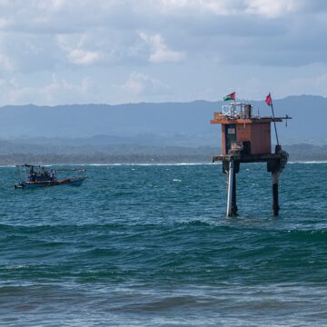 BRACE YOURSELVES: A TSUNAMI APPROACHES