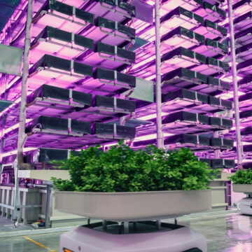INDOOR VERTICAL FARM PLANS TO GROW FOUR MILLION POUNDS OF BERRIES A YEAR