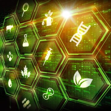 SCIENTISTS MAKE SYNTHETIC GENES THAT WORK LIKE REAL ONES IN LIVING CELLS