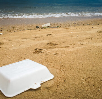 AFRICAN MEALWORM EATS STYROFOAM