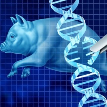 TECHNOCRACY BRIEFS: GENE-EDITED PLANTS AND ANIMALS SET TO EXPLODE, AND SMART GLASSES THAT STRIP PRIVACY