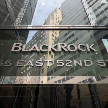 SPOTLIGHT: BIGS GETTING BIGGER