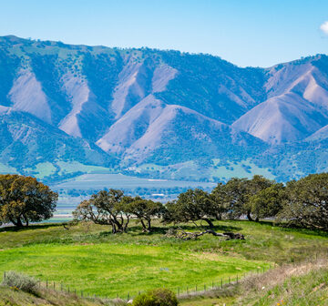 AMERICA’S SALAD BOWL IS BECOMING AN ACTUAL BOWL
