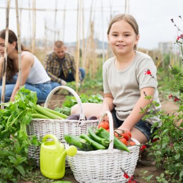 FOREVERLAND: TECH CAN’T MATCH THE BEST LONGEVITY BOOSTER