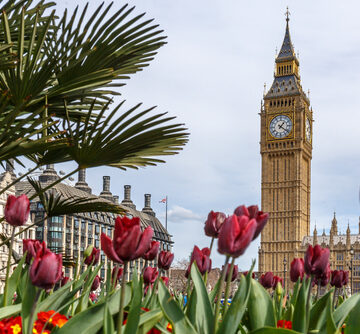 Springtime View Of Big Ben In London, England