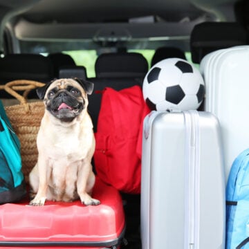 40 PERCENT OF AMERICANS SAY LIVING IN U.S. NOT WORTH IT: SURVEY