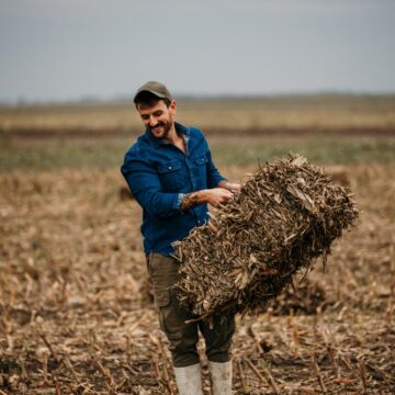 Hard-Working Man Wearing Boots And Lifting A Hay Bale
