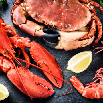 SHELLFISH COULD BECOME YOUR NEW ONE-A-DAY VITAMIN