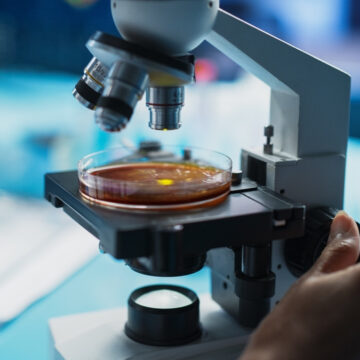 GENETICALLY ALTERED E. COLI TURN PLASTIC WASTE INTO PAINKILLERS