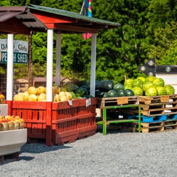 NEW ‘DIRTY DOZEN’ LIST WARNS ABOUT RISING PESTICIDE RESIDUE IN COMMON PRODUCE