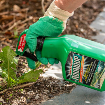 ROUNDUP WEEDKILLER LINKED TO MULTIPLE CANCERS