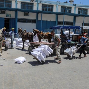 Palestinians Receive Food Rations From The United Nations Relief Agency Using Carts Pulled By Donkeys And Horses