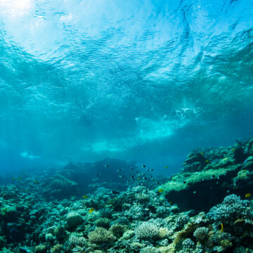 UNDERSEA DESALINATION PLANT MAKES THE PACIFIC OCEAN DRINKABLE