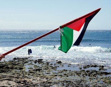The Palestinian Flag–A Tricolor Of Black, White, And Green Horizontal Stripes With A Red Triangle–Held On A Pole On A Beach
