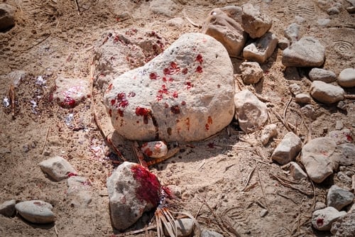 Close up of blood stains on rocks and sand.