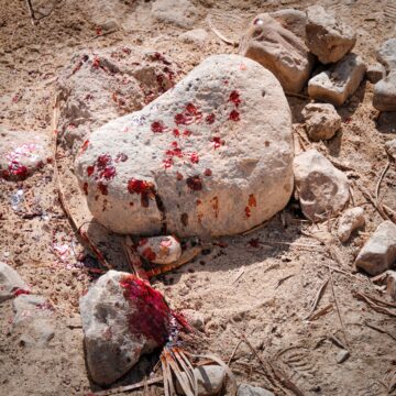 Close up of blood stains on stones and dirt.