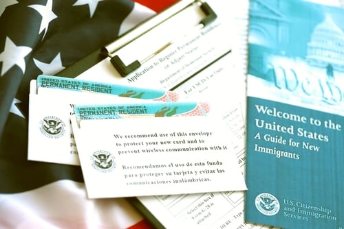 U.S. IMMIGRATION IS DOWN 80 PERCENT, RECONFIGURING LABOR MARKET