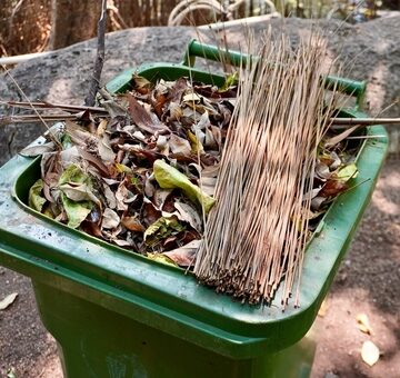 FINLAND EXPLORES ALL-PURPOSE PLASTICS AND RESINS MADE FROM BIOWASTE