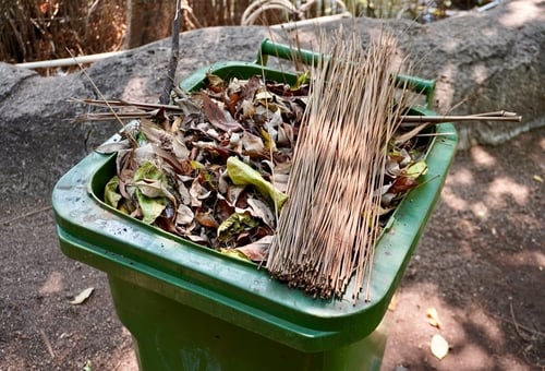 Green,Big,Trash,Bin,Container,Full,Of,Dry,Leaves,,Branches, FINLAND EXPLORES ALL-PURPOSE PLASTICS AND RESINS MADE FROM BIOWASTE