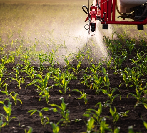 FERTILIZER PRICES “UNBEARABLE,” U.S. FARMERS COMPLAIN