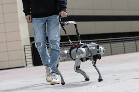 UniTree’s robot seeing-eye dog that speaks to its human companion. Photo: Binghamton University.