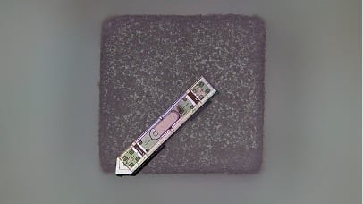 TINY IMPLANT TRACKS BRAIN ACTIVITY