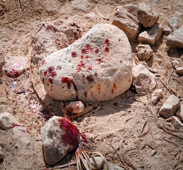 Close up of blood stains on rocks and sand.